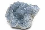 Sparkling Celestine (Celestite) Crystal Cluster - Madagascar #300108-2